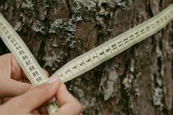 El desafío de comprar ropa online