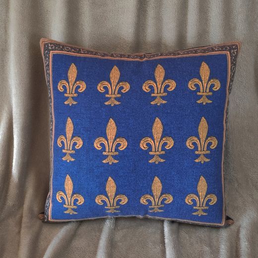Housse de Coussin au Design Historique avec une Touche Moderne